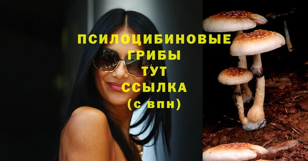 Альфа ПВП Алексеевка