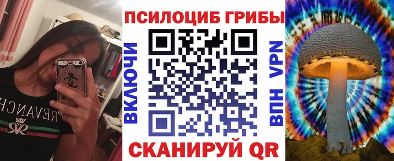 купить наркотик  Гудермес  Псилоцибиновые грибы Psilocybine cubensis 