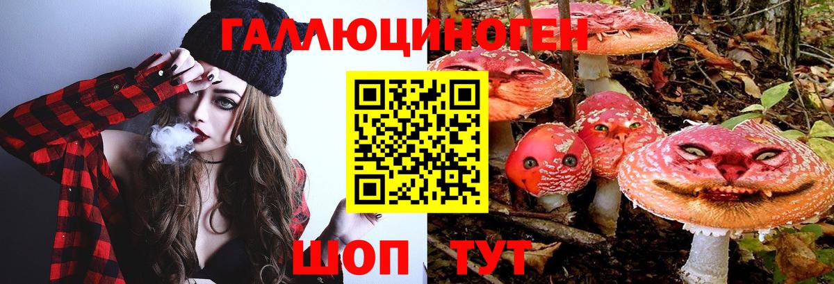 Псилоцибиновые грибы Magic Shrooms Гудермес