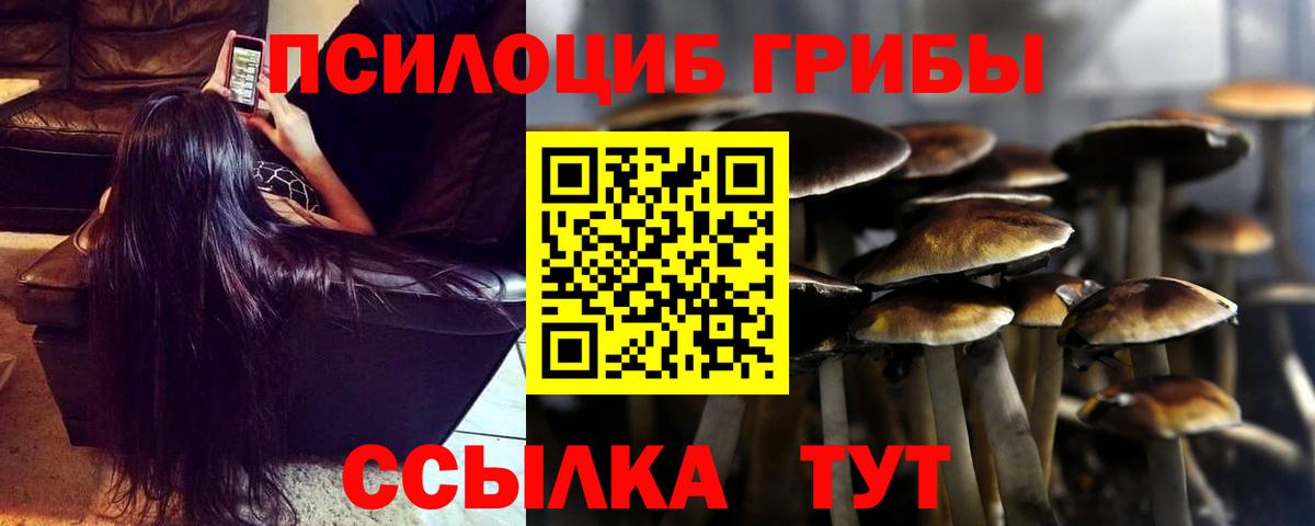 Псилоцибиновые грибы ЛСД Гудермес