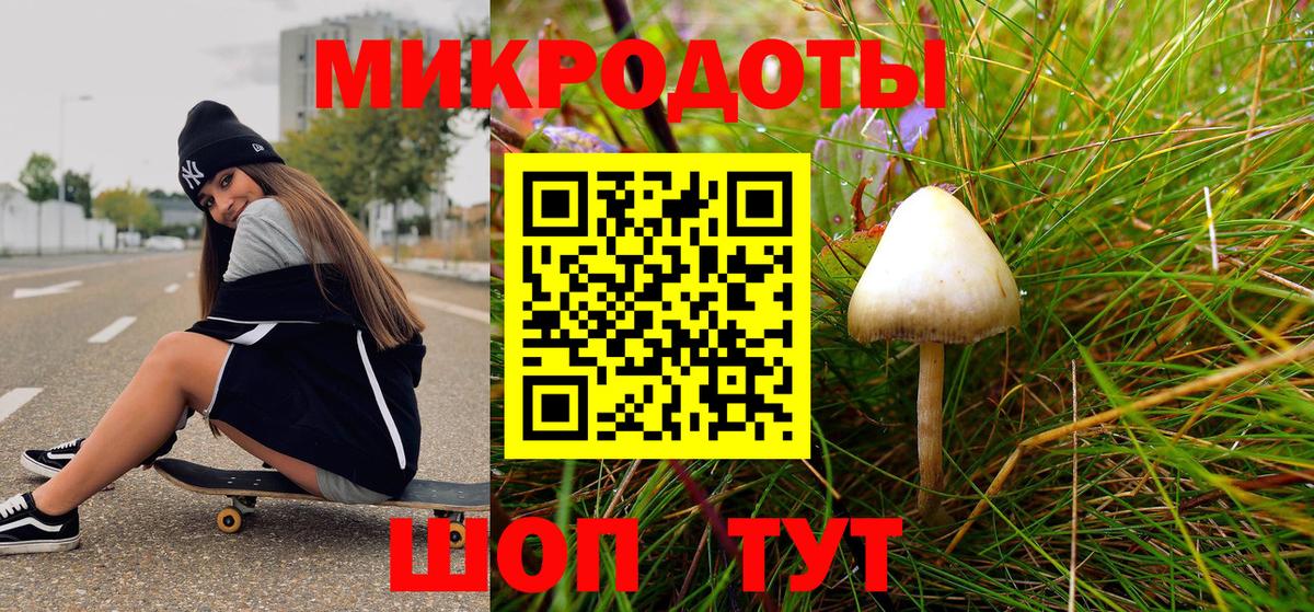 где найти   Вход с VPN  Гудермес  Галлюциногенные грибы Magic Shrooms 