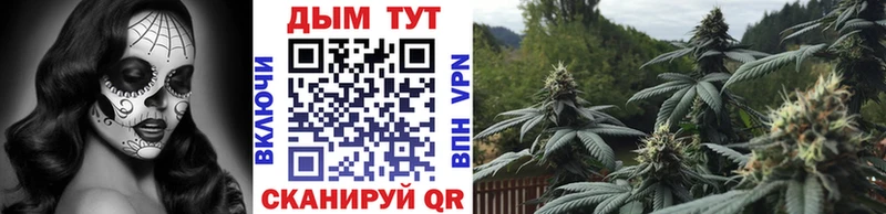 наркота  Гудермес  Канабис марихуана 