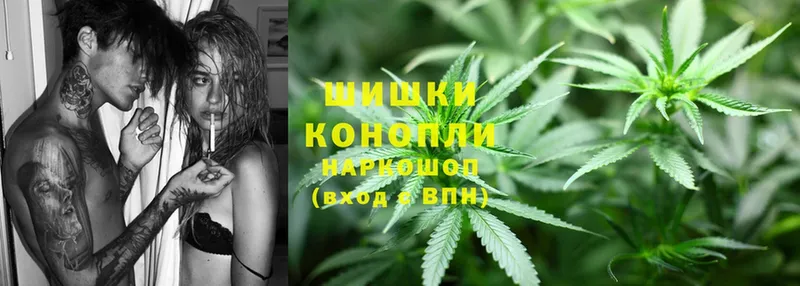 mega как зайти  Гудермес  Бошки марихуана THC 21%  как найти наркотики 