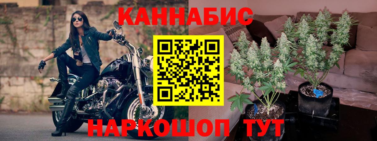 Каннабис Amnesia  Марихуана SATIVA & INDICA  Вход с VPN  Конопля сатива  Гудермес  Бошки марихуана семена 